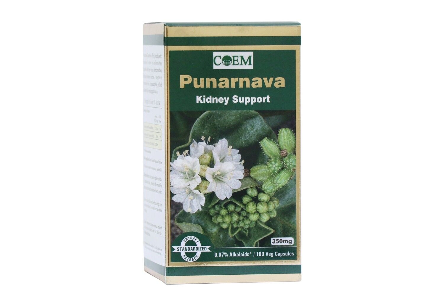 Punarnava