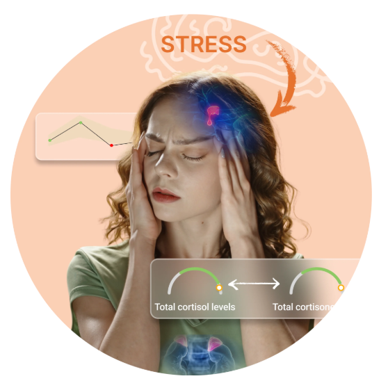 VIBRANT WELLNESS HORMONE ZOOMER