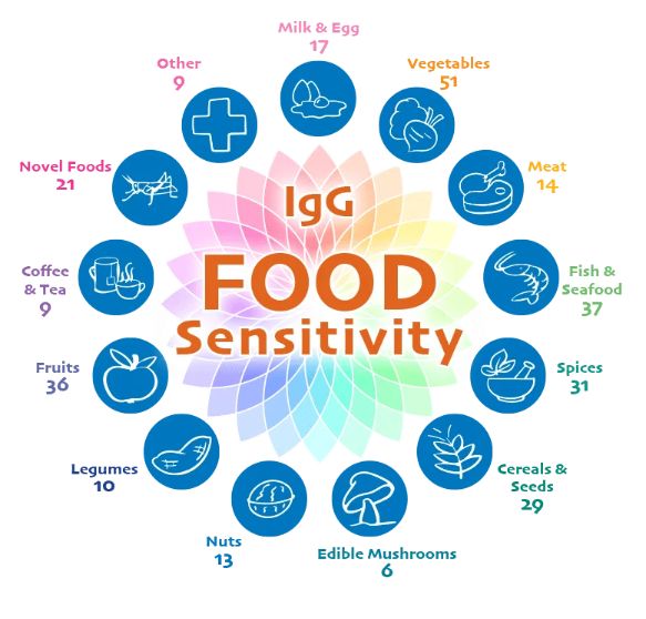 IgG Food Explorer