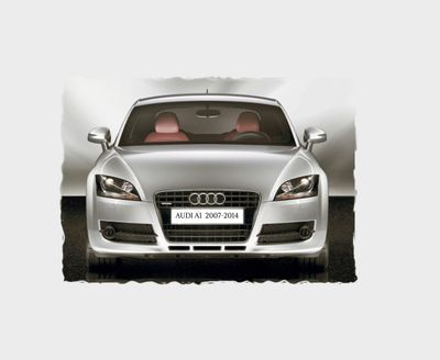 TT (2007-2014)