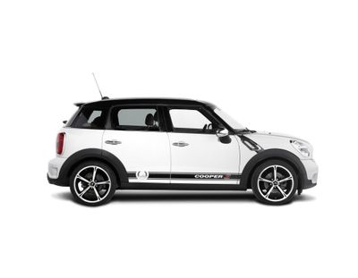 Countryman R60