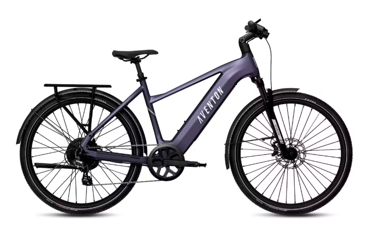 Level 3 Ebike