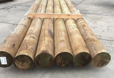 Roundwood beam 10 cm