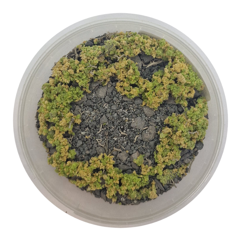 Basetopping: SIEGE GROUND (140ml)