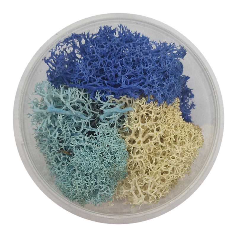 Basetopping: ICE MOOS³ (snow series)