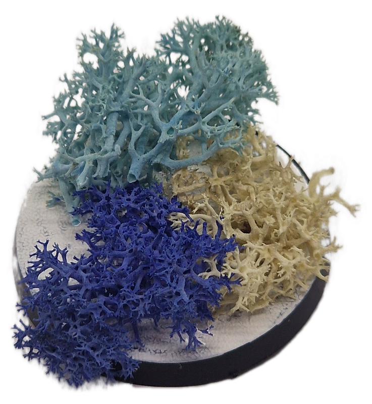 Basetopping: ICE MOOS³ (snow series)