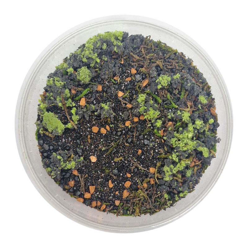 Basetopping: WARGROUND (140ml)