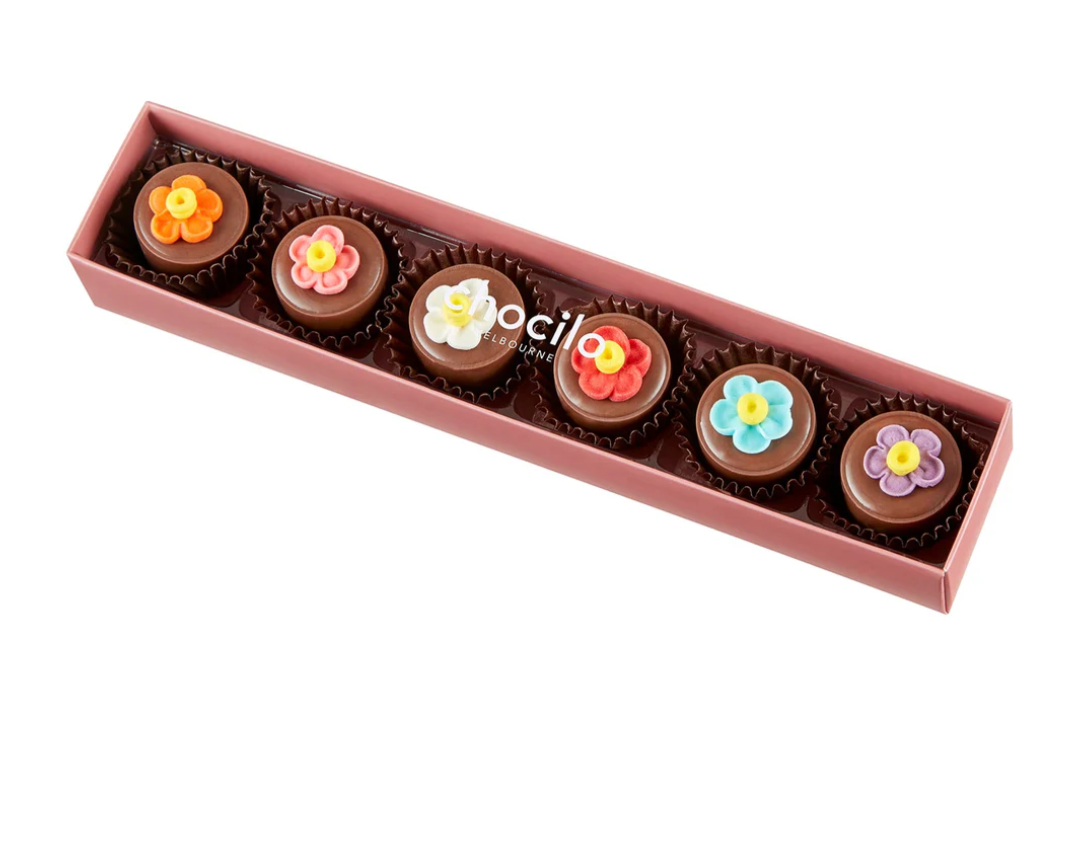 Truffle Chocolate Assorted Gift Pack
