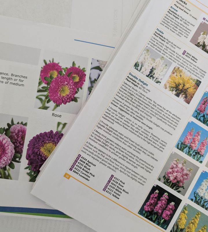 From Seedlings to Flower Module 2 From Seedlings to Flower Module 2