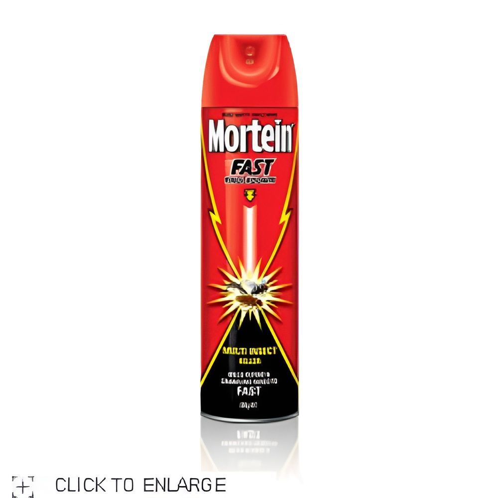Mortein Fast Knockdown