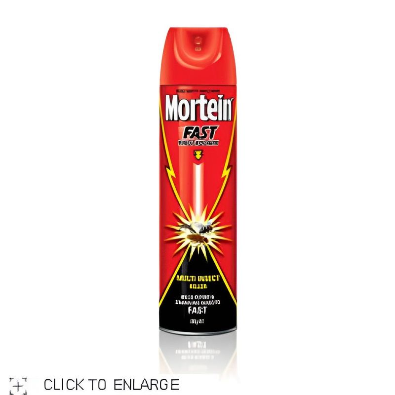Mortein Fast Knockdown