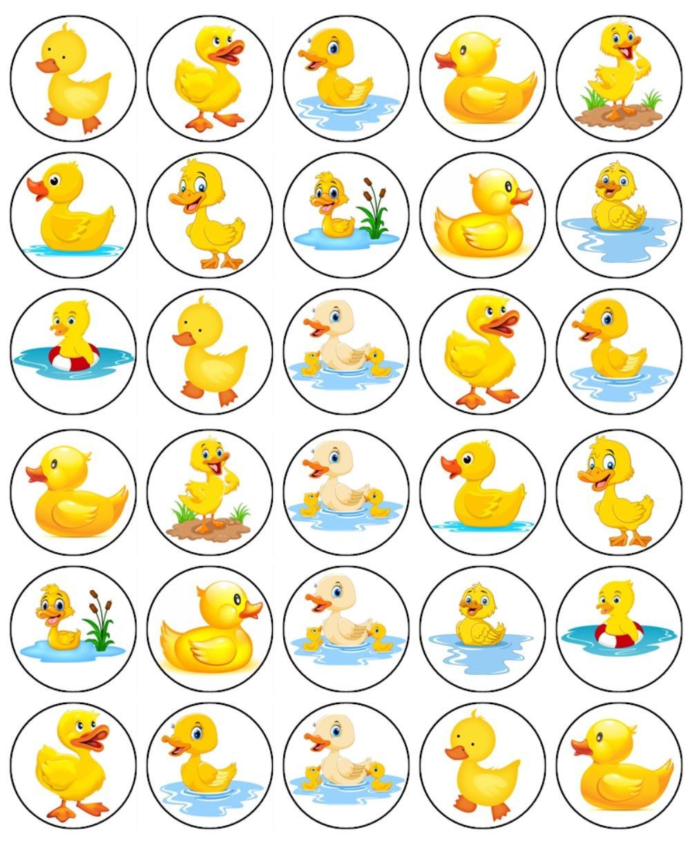 Yellow Duck Edible Icing Cupcake Decorations (2 Sizes)