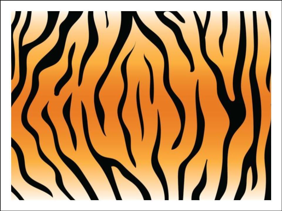 Tiger Print Edible Icing Cake Wrap/ Cake Pattern Animal Decorations (3 Sizes)