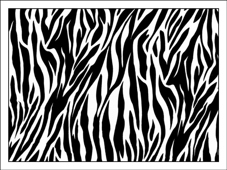 Zebra Print Edible Icing Cake Wrap/ Cake Pattern Animal Decorations (3 Sizes)