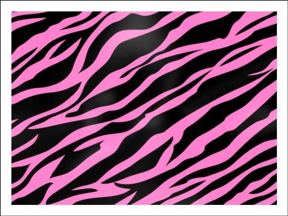 Zebra Print Pink Edible Icing Cake Wrap/ Cake Pattern Animal Decorations (3 Sizes)