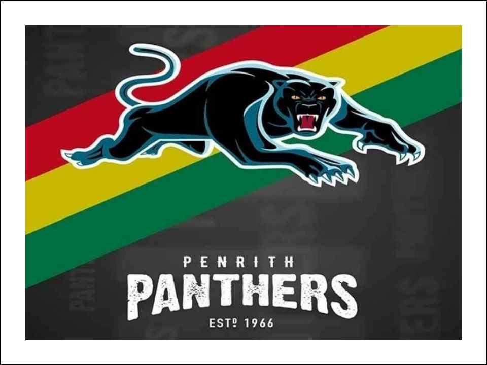 Rugby Panthers Edible Icing Toppers – Cake & Cupcakes