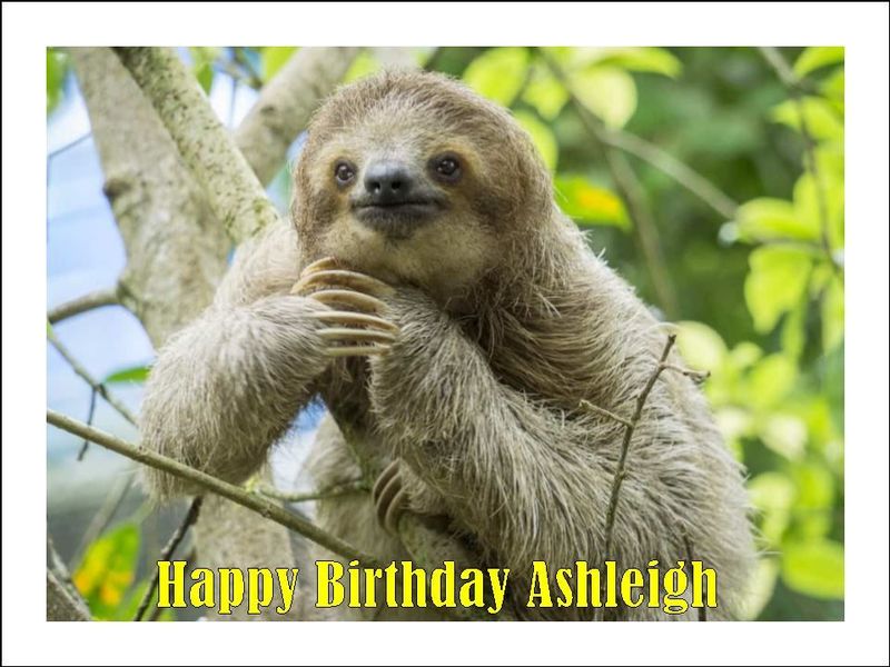 Sloth Edible Icing Cake & Cupcake Toppers – Jungle Party