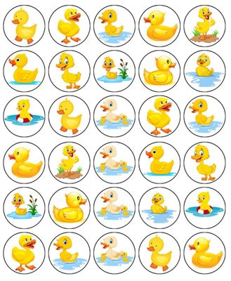Farm Animals