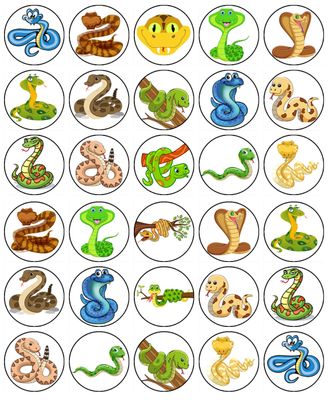 Snake Edible Icing Cupcake Toppers – Jungle Animal Party Snake Edible Icing Cupcake Toppers – Jungle Animal Party