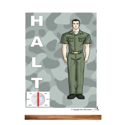 H.A.L.T. Assessment