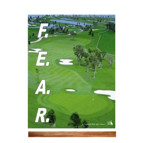 F.E.A.R. Assessment