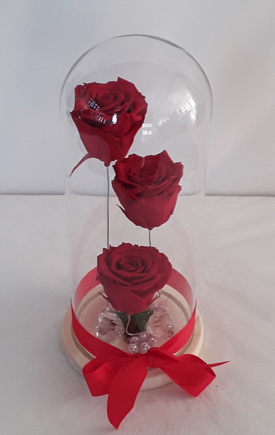 F29///Forever red roses!!!