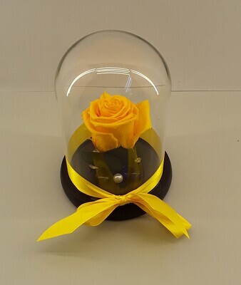 F06--Yellow forever rose in glass!!!