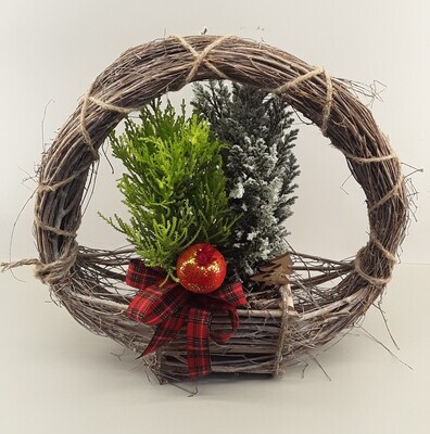 C02--Fir trees in a Christmas decoration!!!