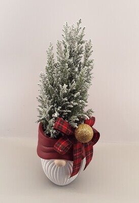 C01--Snowy fir in a Christmas pot!!!