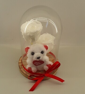 F44--White forever roses with small teddy bear in glass!!!