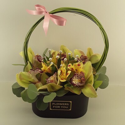 M02--Orchids and alstromeria in a box!!!