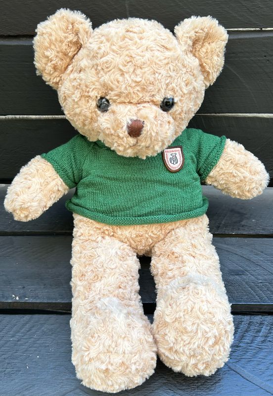 Brown Teddy