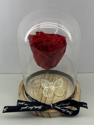 For Ever Roses