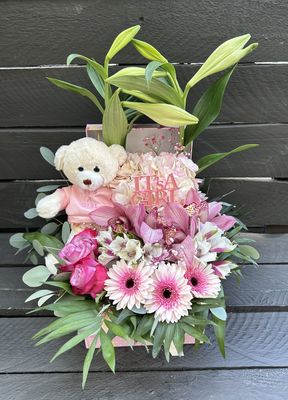 Newborn