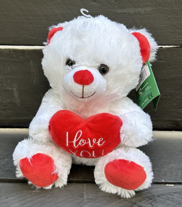 Love Teddy Bear