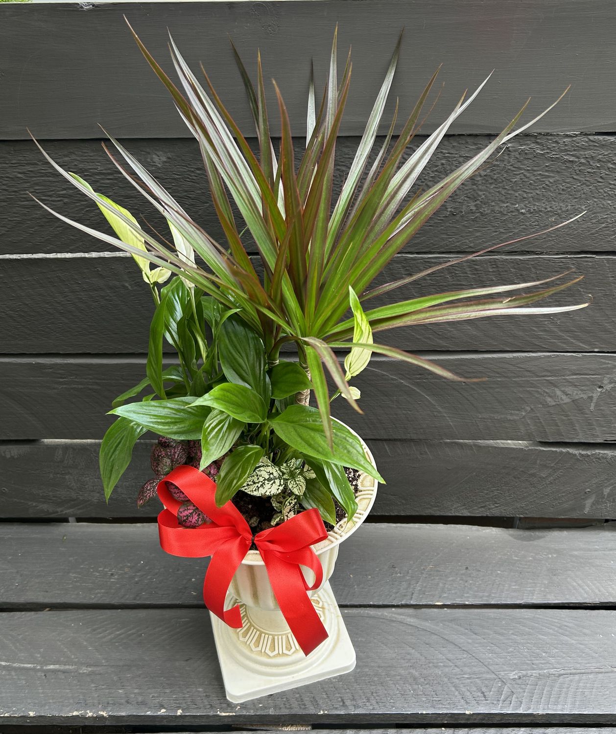 P03 - Mixed Plants in a pot