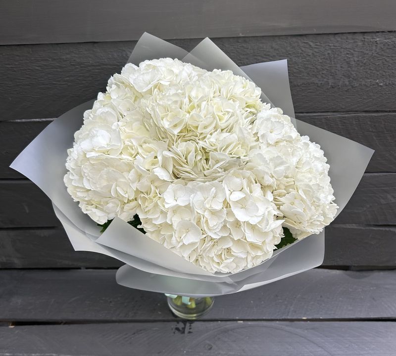 White hydrangeas Bouquet