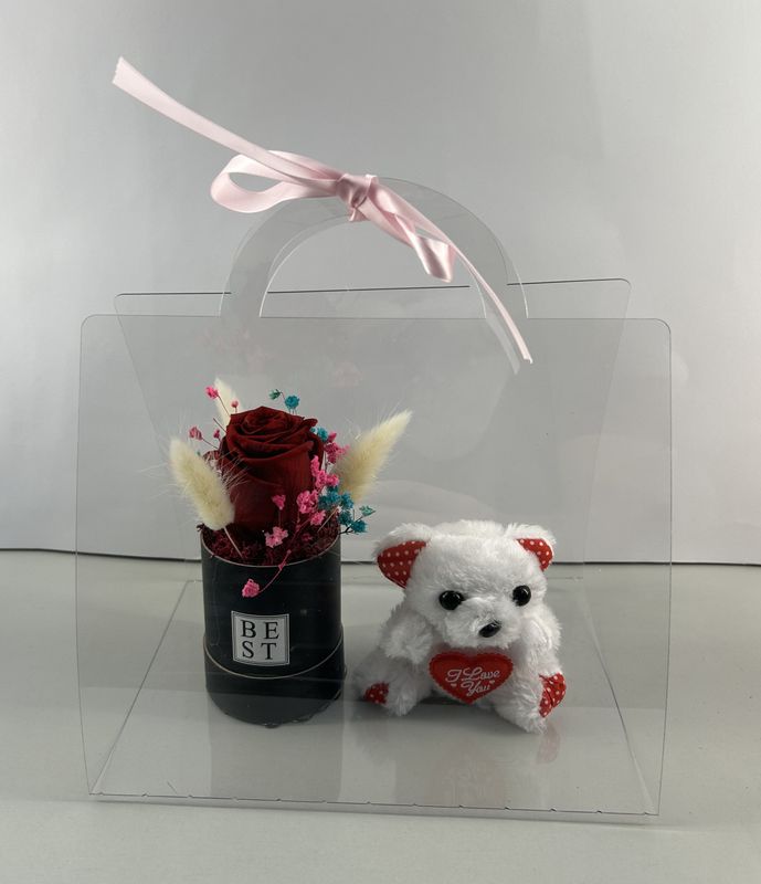 F12 - Red Forever Rose with a Teddy