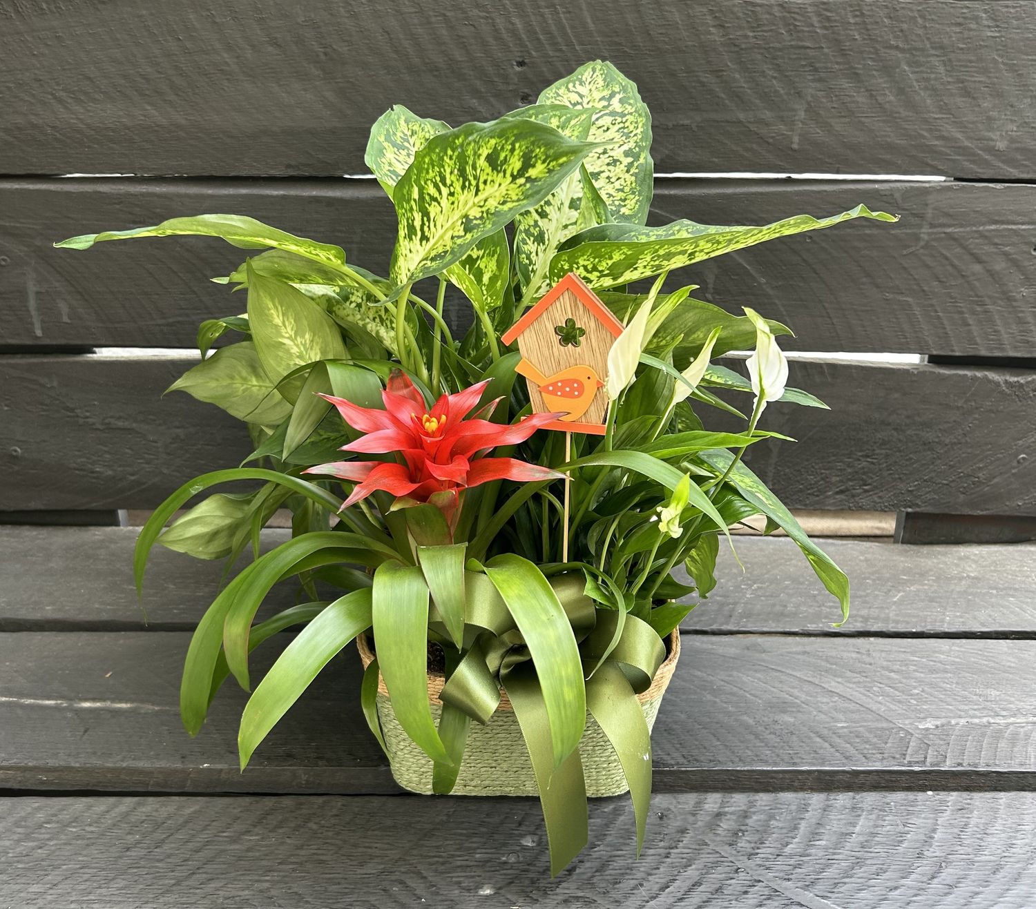 P04 - Mixed Plants in a basket