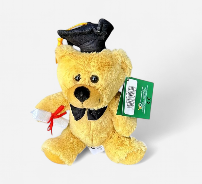Brown Graduation Teddy Bear