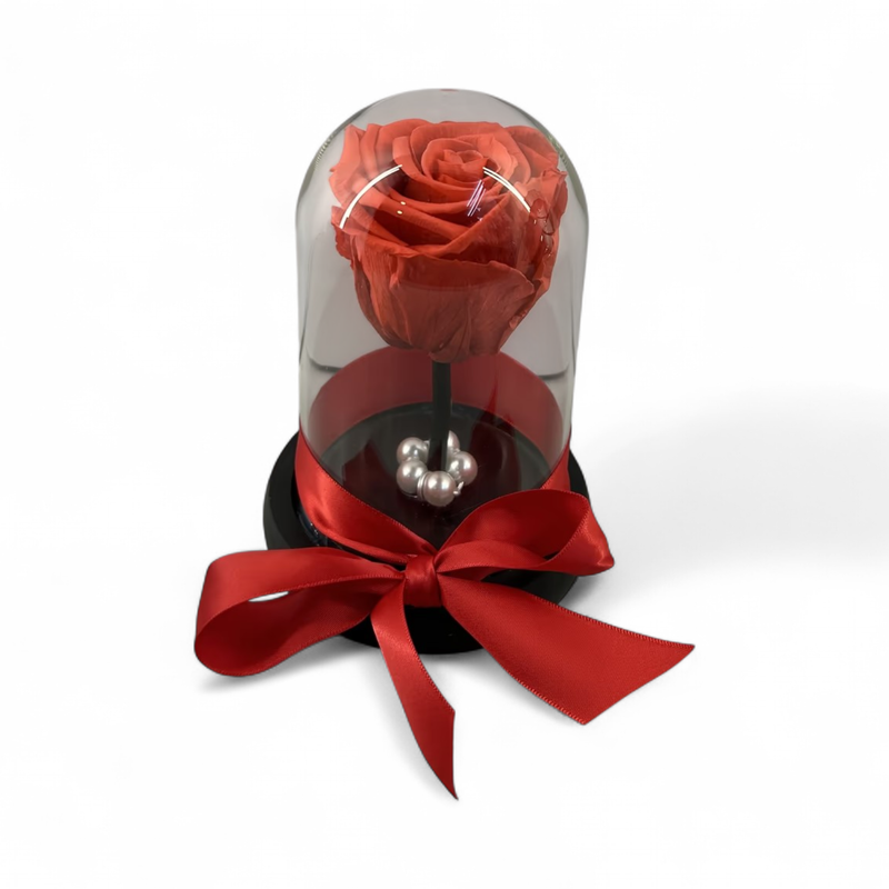 F16 - Bright Red Forever Rose in glass