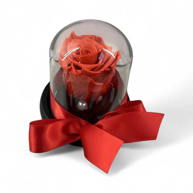 F15 - Bright Red Forever Rose in glass