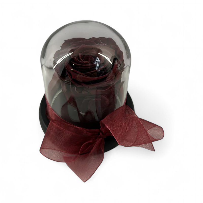 F18 - Bordo Forever Rose in glass