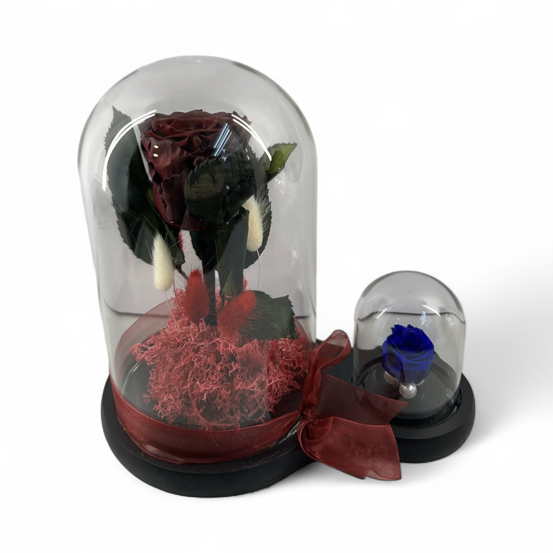 F21 - Bordo Forever Rose &amp; Mini Blue in glass