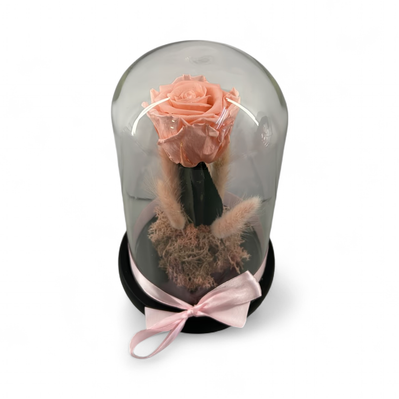 F29 - Pink Forever Rose in glass