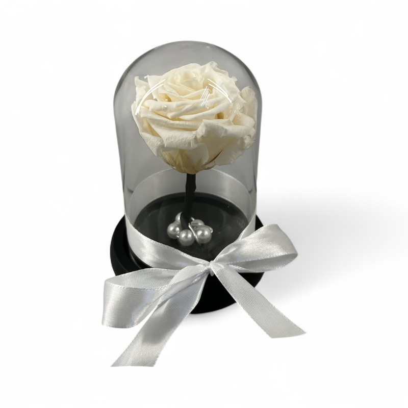 F37 - White Forever Rose in glass