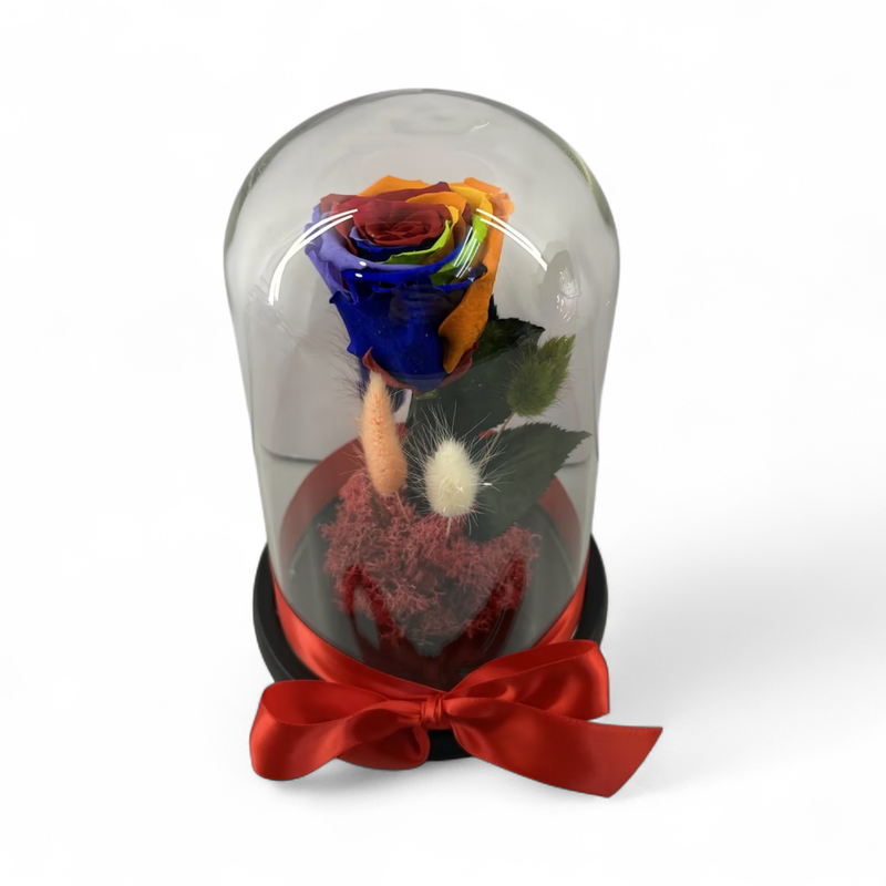 F35 - Rainbow Forever Rose in glass