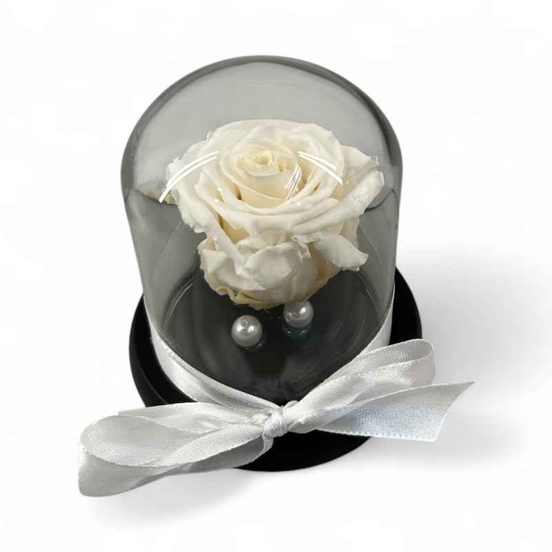 F36 - White Forever Rose in glass
