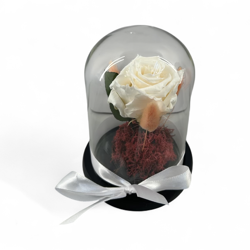 F38 - White Forever Rose in glass