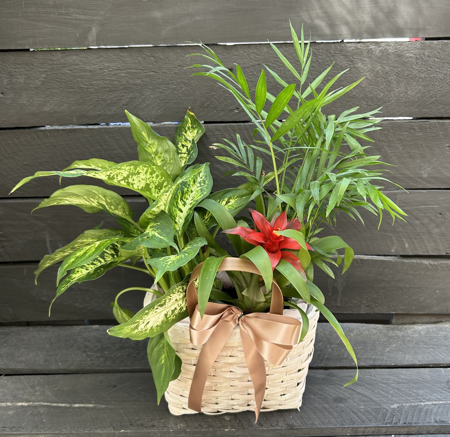 P09 - Mixed Plants in a basket